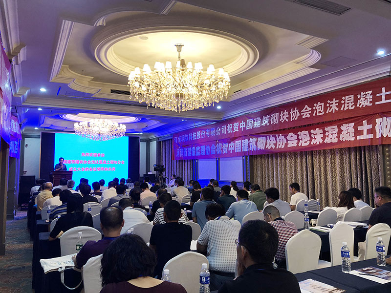 《中國(guó)建筑砌塊協(xié)會(huì)泡沫混凝土砌塊分會(huì)》領(lǐng)導(dǎo)人及會(huì)員單位蒞臨考察-10-20230905083032